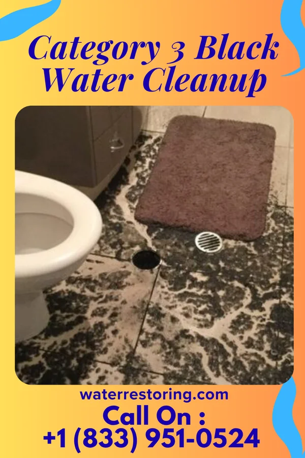 Category 3 Black Water Cleanup in North Caldwell, NJ