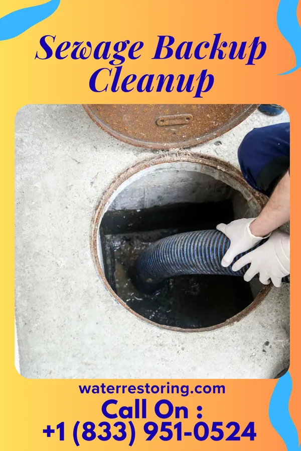 Sewage Backup Cleanup in North Caldwell, NJ