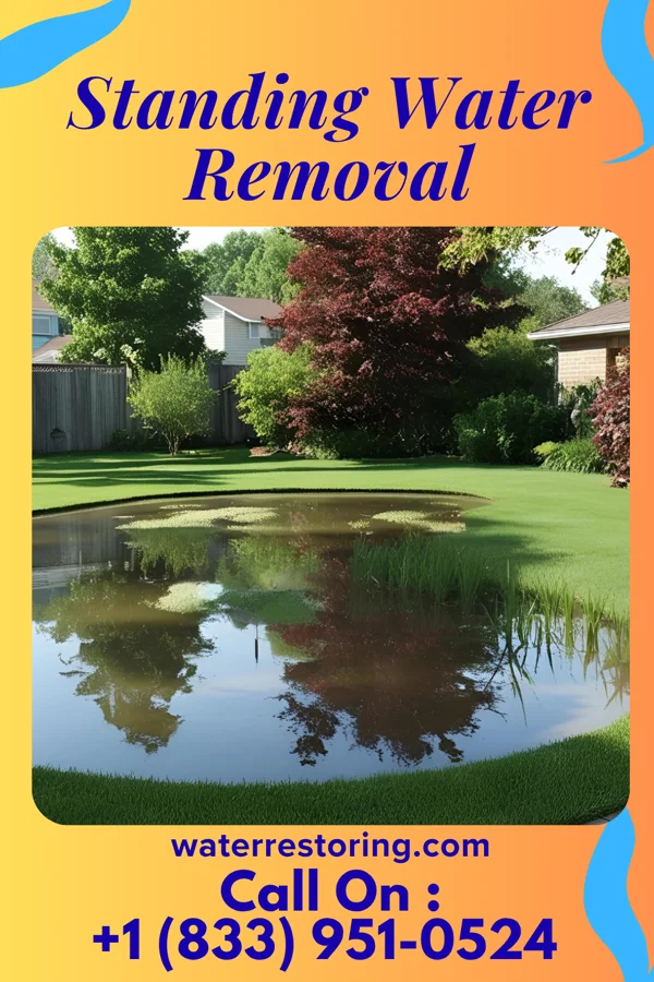 Standing Water Removal in North Caldwell, NJ